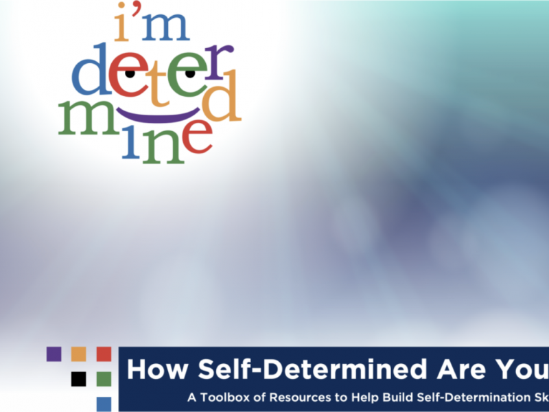 Toolbox for Self-Determination Thumbnail