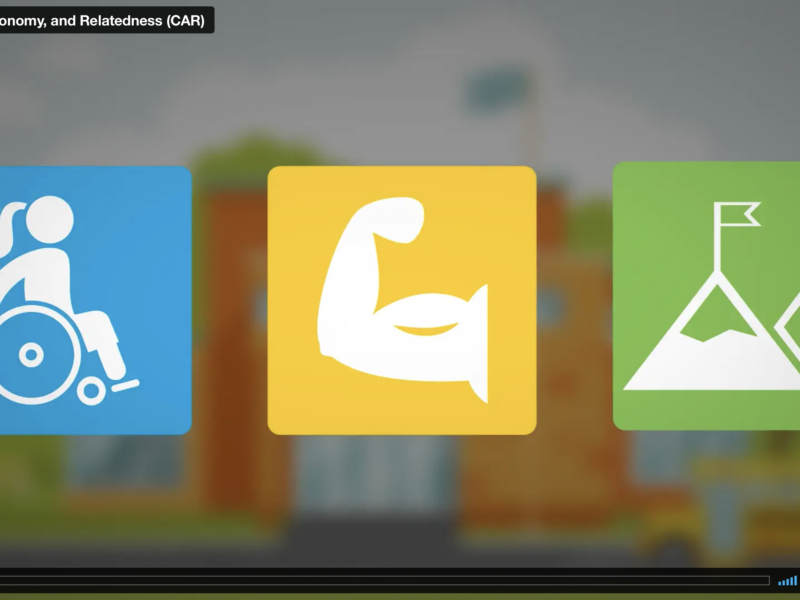 Screenshot from competence, autonomy, and relatedness video showing three square icons. A blue icon with an individual sitting in and pushing a wheelchair, a yellow icon showing a flexed arm and bicep, and a green icon showing a mountain peak with a flag at the top.