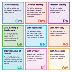 Elements of I'm Determined - grid of 9 colorful blocks with elements listed inside with definitions. The 9 elements and definitions are: Choice Making - The skill of selecting a path forward between two known options. Decision Making - The skill of selecting a path forward based on various solutions that have each been thoughtfully considered. Problem Solving - The skill of finding solutions to difficult or complex issues. Goal Setting & Attainment - The ability to develop a goal, plan for implementation, and measure success. Self-Regulation - The ability to monitor and control one's own behaviors, actions, and skills in various situations. Self-Advocacy - The skills necessary to speak up and/or defend a cause or a person. Internal Locus of Control - The belief that one has control over the outcomes that are important to his or her own life. Self-Efficacy - Belief in one's own ability to succeed in specific situations or accomplish specific tasks. Self-Awareness - Basic understanding of one's own strengths, needs, and abilities.